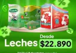 Jumbo Proleche - leches oferta