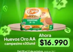 Jumbo Oro - huevos aa campesino oferta