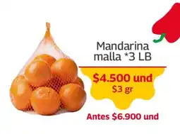 Mercados OR Mandarina malla oferta