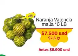 Mercados OR Naranja Valencia oferta