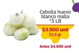 Mercados OR Cebolla huevo blanco malla oferta