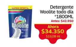 Mercados OR Woolite detergente todo dia oferta