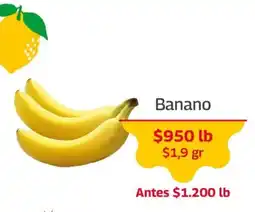 Mercados OR Banano oferta