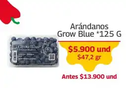 Mercados OR GrowBlue arándanos oferta