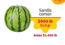 Mercados OR Sandía común oferta