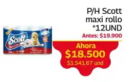 Mercados OR Scott maxi rollo oferta