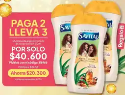Nova Venta Savital shampoo de argán con aceite de jojoba oferta