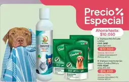 Nova Venta CanAntor shampoo oferta
