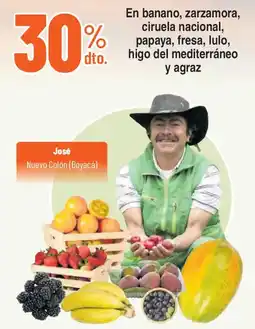 Ktronix José banano zarzamora ciruela nacional papaya fresa lulo higo del mediterráneo y agrad oferta