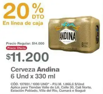 Makro Cerveza Andina 300ml oferta