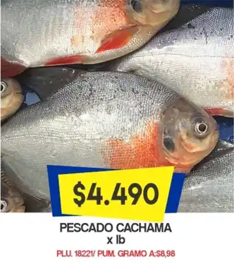 Mercapava Pescado Cachama oferta