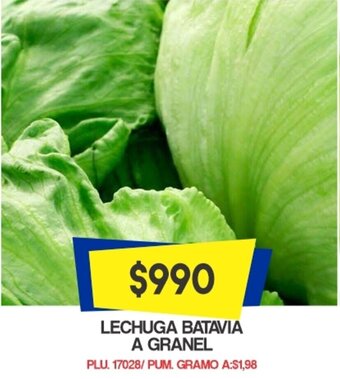 Mercapava Lechuga Batavia a Granel oferta