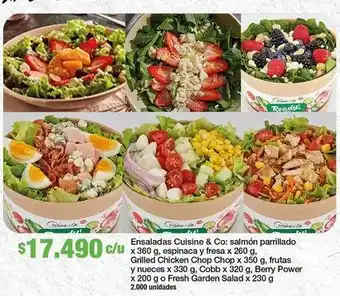 Cuisine & co - ensaladas : salmón parrillado
