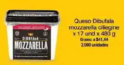 Jumbo Dibufala mozzarella ciline oferta