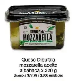 Jumbo Queso Dibufala mozzarella aceite albahaca oferta