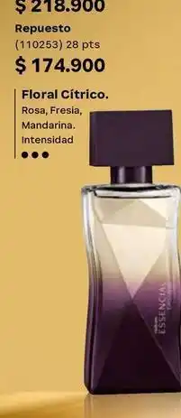 Natura Natura - repuesto (110253) oferta