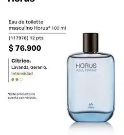 Natura Natura - eau de toilette masculino horus* 100 ml (117978) oferta