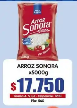 Surtifamiliar Arroz Sonora oferta