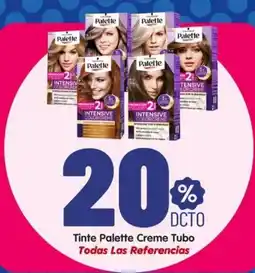 Surtifamiliar Palette Tinte Creme Tubo oferta