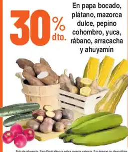 Alkosto En papa bocado, plátano, mazorca dulce, pepino cohombro, yuca, rábano, arracacha y ahuyamín oferta