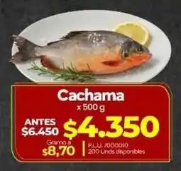 Supermercados Surtiplaza Cachama oferta