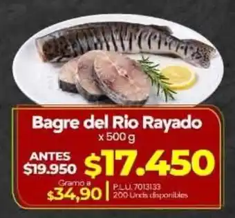 Bagre del Rio Rayado