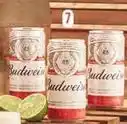 Jumbo Budweiser - cerveza oferta