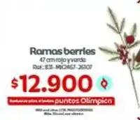 Olímpica Ramas berries ref: 831-mx2467-26107 oferta