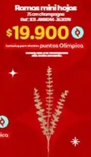 Olímpica Ico - ramos mini hojas ref: 631-jan004-353071 oferta
