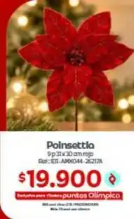 Olímpica Poinsettia 9 p 31x30 cm rojo oferta