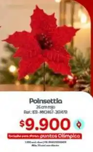 Olímpica Olimpica - polinsettia 26 cm rojo oferta