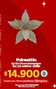Olímpica Poinsettia 8p 30x30cm champagne ref: 181-amb044-25cm oferta