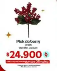 Olímpica Olimpica - pick de berry 30 cm ref:140-5703001 oferta