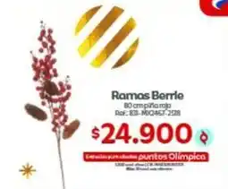 Olímpica Ramas berrie 80 cm piñita rojo ref: 831-mxq467-2518 oferta