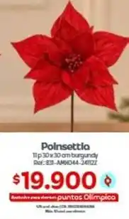 Olímpica Poinsettia 11p 30x30 cm burgundy ref:831-am044-241122 oferta