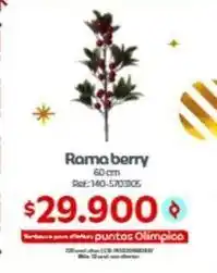 Olímpica Rama - berry 60 cm ref:140-5703105 oferta