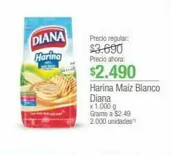 Jumbo Harina maíz blanco diana x 1.000 g oferta