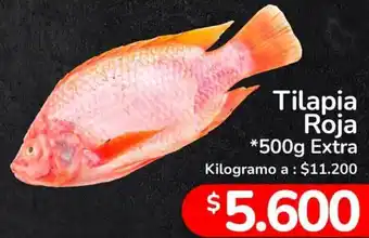 Tilapia Roja 500g Extra