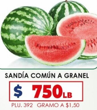 Surtifamiliar Sandía Común A Granel oferta