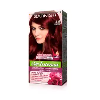 MegaTiendas Tinte nutrisse cor intensa castaño rojo x 115 g oferta
