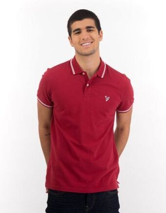American Eagle Camiseta polo ajustada ae en piqué oferta