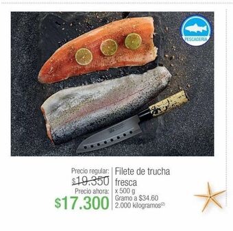 Jumbo Filete de trucha fresca x 500 g oferta