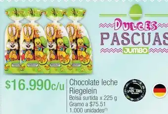 Jumbo Chocolate leche riegelein bolsa surtida x 225 g oferta