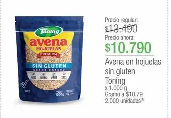 Jumbo Avena en hojuelas sin gluten toning x 1.000 g oferta