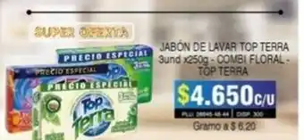 Surtifamiliar Jabon de Lavar Top Terra 3und x 250g - Combi Floral - Top Terra oferta