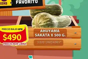 Ara Ahuyama sakata 500 g oferta
