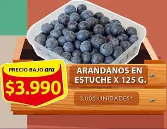 Arándanos en estuche x 125 g