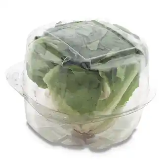 Lechuga verde lisa pet 150g