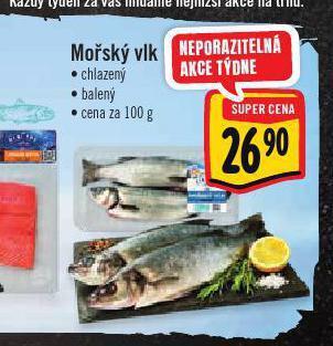 Albert Mořský vlk nabídka