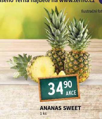 Terno Ananas nabídka